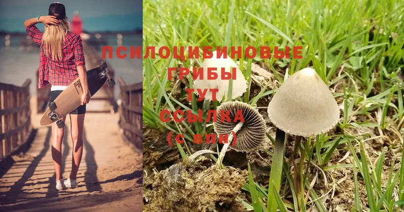 Псилоцибиновые грибы Psilocybine cubensis  даркнет сайт  блэк спрут ССЫЛКА  Лакинск 